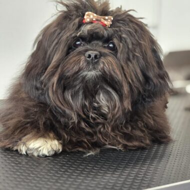 14dbe028-47ed-4278-8ebb-cc2b3f0294a8